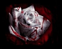 #1TwilightHater http://www.mylifeistwilight.com/images/membersprofilepic/11275.jpg