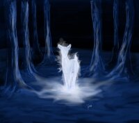 Silver Doe http://www.mylifeistwilight.com/images/membersprofilepic/11567.jpg
